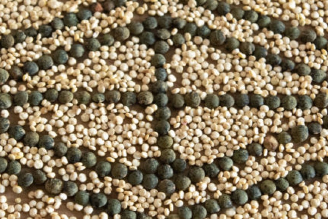 Vignette de la médiation Ateliers (dé)confinés