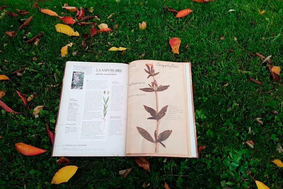 Vignette de la médiation Visite guidée avec les jardiniers